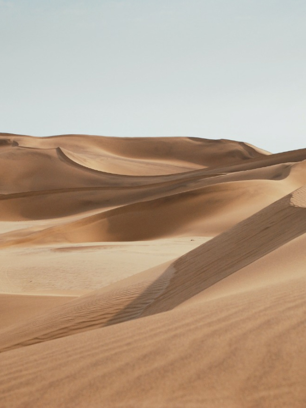 Behind The Scenes Desserts 02