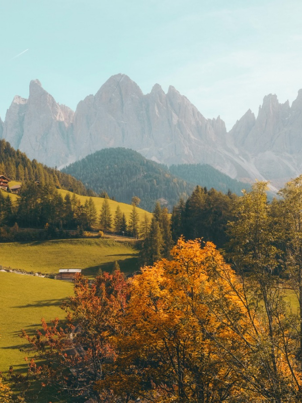 Behind The Scenes Natures 02